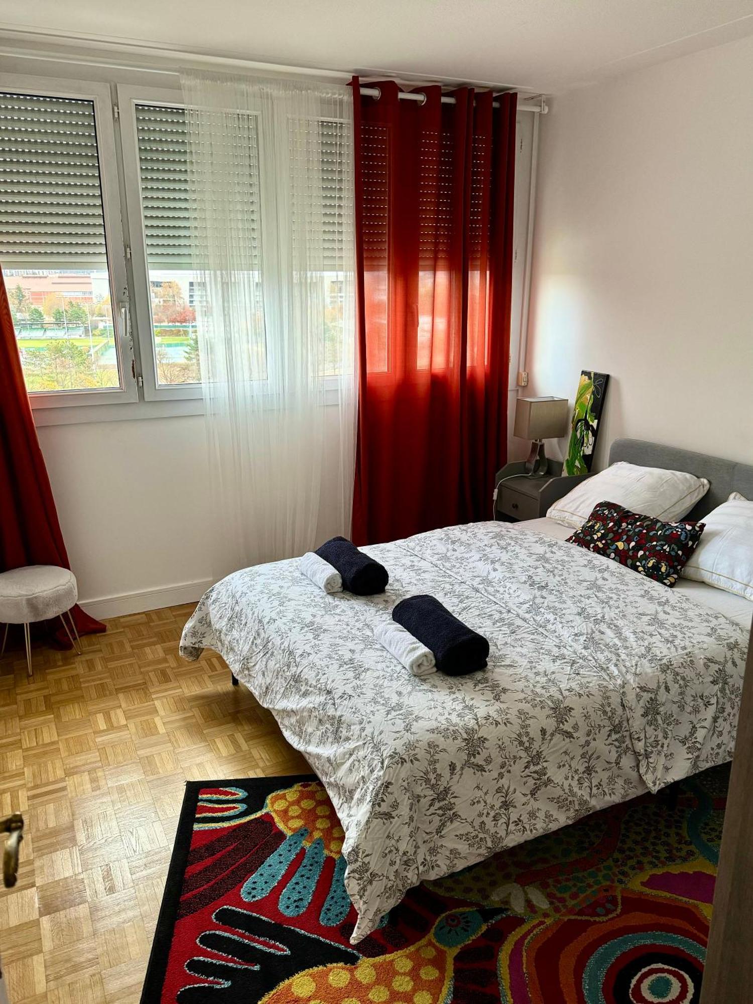 Bergson Top - Appart 80M2, 2 Grandes Chambres, Entierement Renovee Et Equipee, Lumineux, Wifi, Balcon, Calme, Vue Imprenable サン・テティエンヌ エクステリア 写真